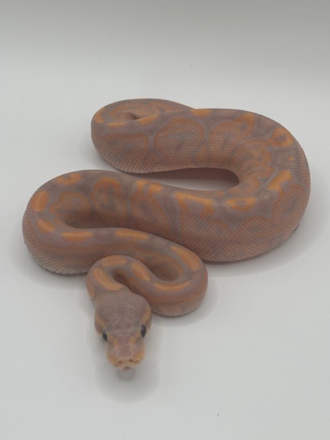 Banana Cinnamon
